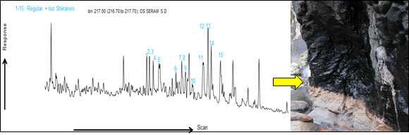 Finger print analysis result of oil seepage in Nief area, Seram Island shows that biomarker finger print of sterana (m/z 217) belongs to the hydrocarbon with high termal maturity characteristic, has organic matter derived from aquatic organisms (algae) and provide an indication of marine carbonate depositional environment