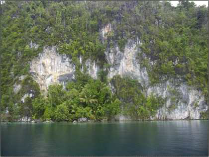 Cliff of Manusela Limestone that representing fault scarp in the beach between Saleman and Sawai villages