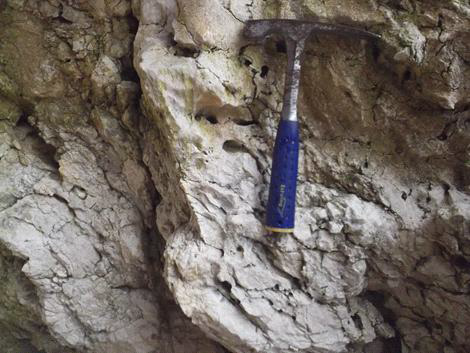 Outcrop of Manusela Limestone in the lower part of the cliff between Sawai and Saleman Villages