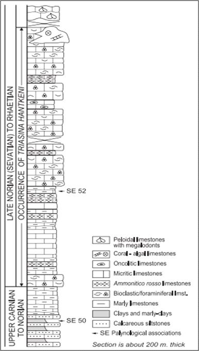 Composite stratigraphic section of the Upper Triassic Asinepe Limestone (allochthonous of Seram), with locations of the samples containing the palynological associations marked