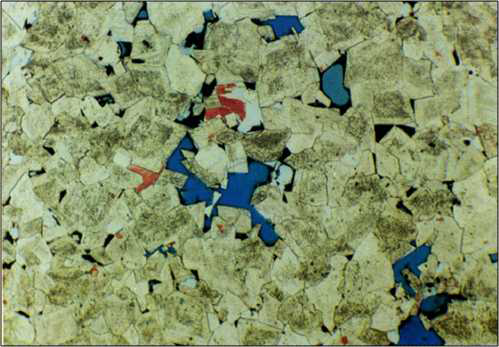 Thin section of Manusela limestone from core 3 East Nief-1 Well at depth of 5,597 ft (RKB)