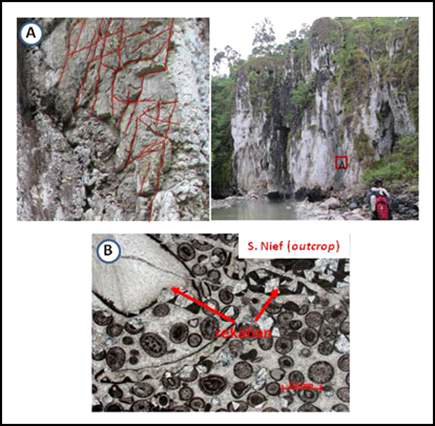 Photomicrograph of Manusela Formation from Nief Area, showing oolitic wackstone and cement filling fracture