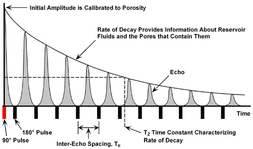 Spin-echo train & transverse magnetization decay