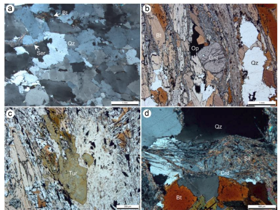 장봉도의 변성사질암(a)과 이질편암(b, c, d)의 편광현미경 사진