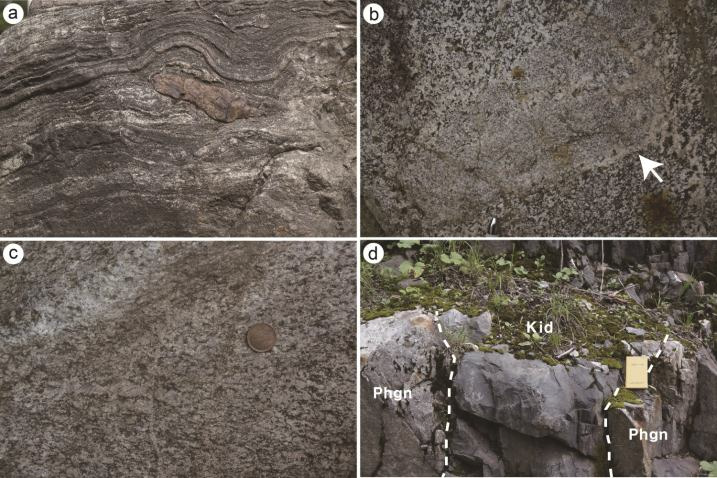 (a) 엽리구조를 보이는 화강암질 히다편마암, (b) 히다편마암이 화강암 기원임을 지시하는 세립질 포유암, (c 미약한 엽리를 나타내는 화강섬록암질 히다편마암, (d) 히다편마암(Phgn)을 관입하는 백악 기 중성암맥(Kid).