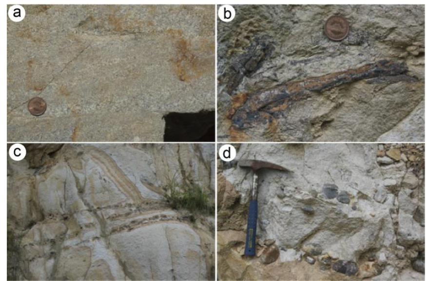 테토리층군 사암의 상향세립 조직(a), 식물화석(b), 규암역 층(c), 아원상의 규암역(d).