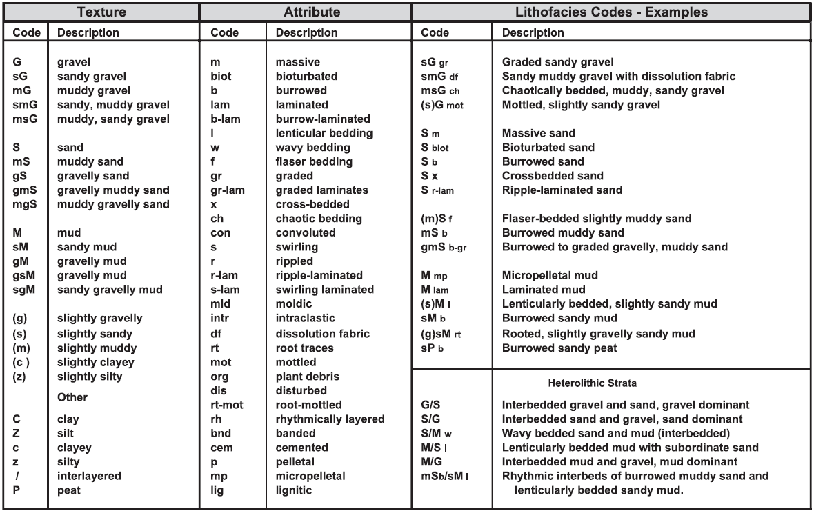 본 연구에서의 lithofacies texture codes의 예