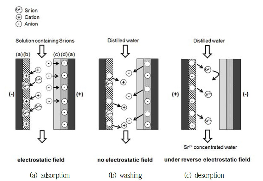 Conceptual procedure for the recovery of strontium ion by MCDI process.