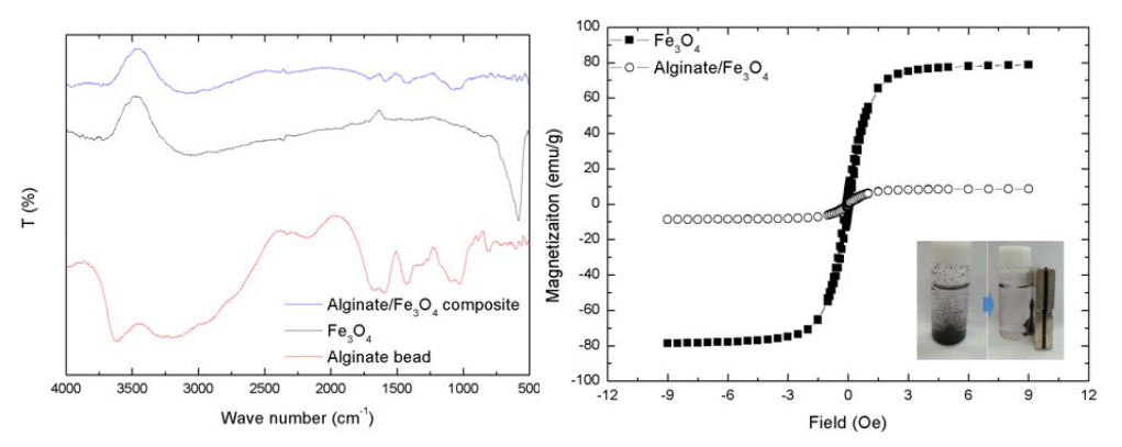 알긴산/Fe3O4 복합체의 FTIR spectrum(좌), specific saturation magnetization curve(우)