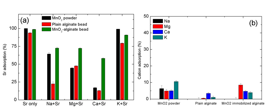 해수 농도의 Na, Mg, Ca , K가 공존할 시 일반 알긴산 비드와 MnO2-알긴산 비드 복합체의 Sr 흡착 효율 (a), 타이온의 흡착량 (b)