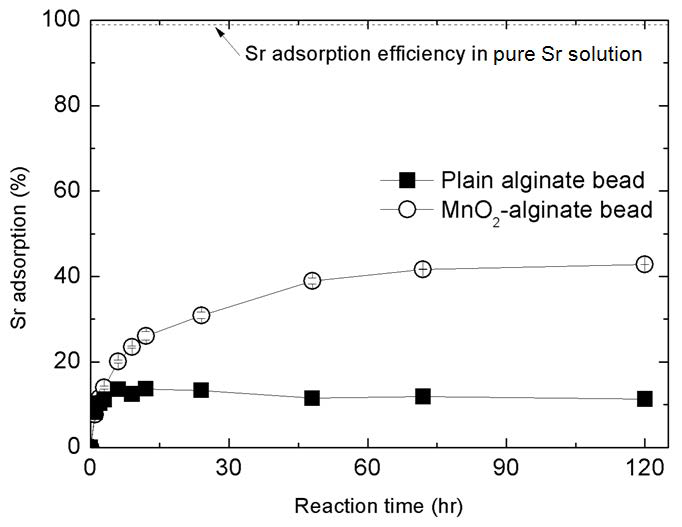 해수 매질에서 일반 알긴산 비드와 MnO2-알긴산 비드 복합체의 Sr 흡착 효율