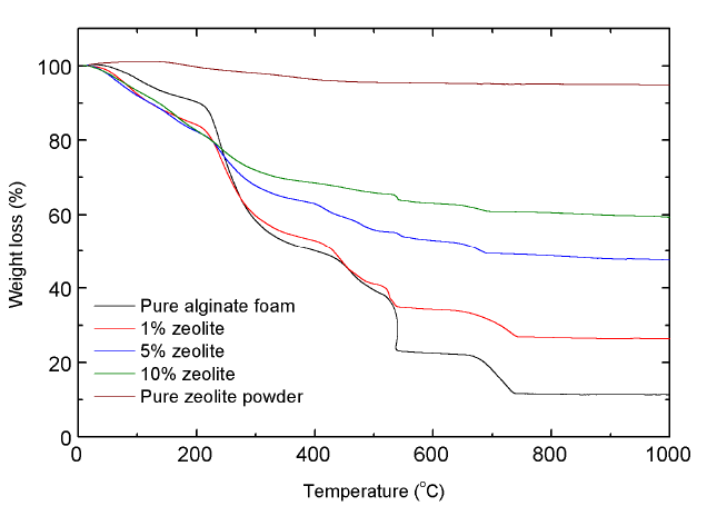zeolite-알긴산 폼의 TG 분석결과