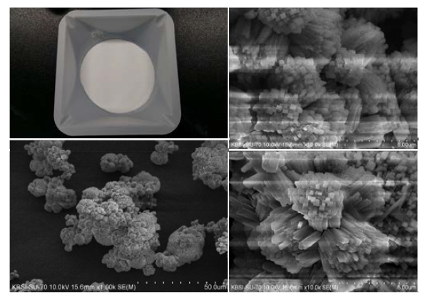 Photo and SEM images of synthetic zeolite.