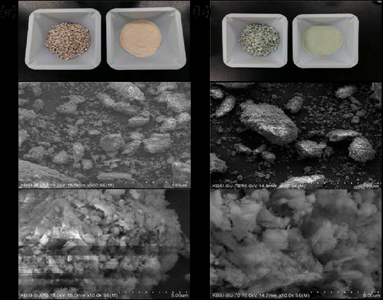 Photo and SEM images of C-1 (a) C-2 (b).