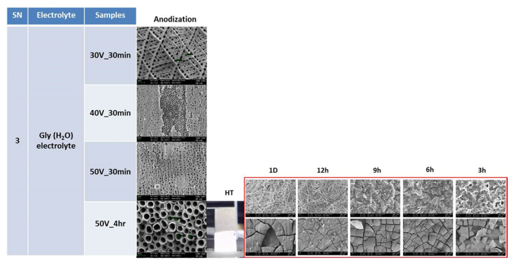 전해질 용액으로 H2O와 Glycerol를 사용할 경우 다른 인가전위와 인가시간에 따른 TiO2 나노튜브 형상