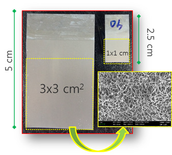 Ti foil에서 성장한 대면적 Titanate nanotube 전극