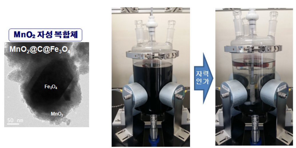 Scheme of Sr recovery experiments from seawater.