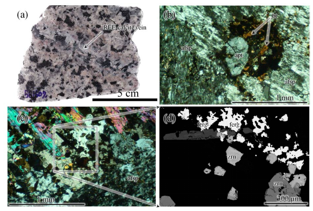 Occurrence of REE- and HFSE-bearing minerals in Geologfjeld syenite
