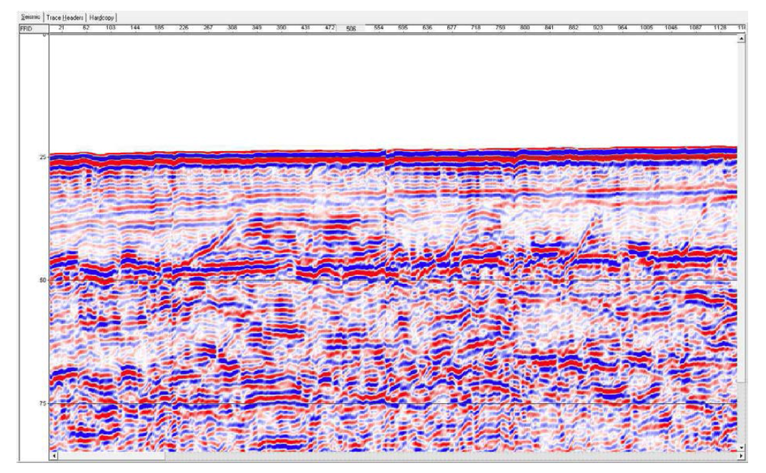 Seismic data processing (AGC and swell filter).