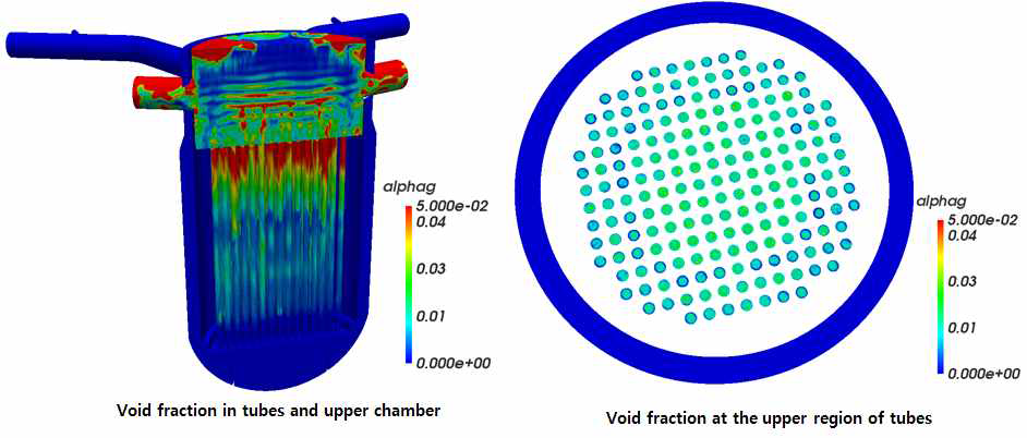 The bubble fraction distribution of vascular bundle and upper cavity