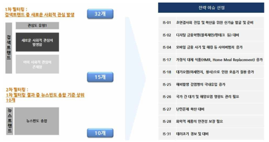 Strategy issue selection process through 1st and 2nd filtering