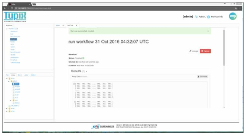 Workflow Result