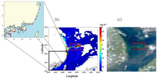 (a) NFRDI red tide report in Aug. 17, 2007, (b) MODIS Chlorophyll image in Aug. 17, 2007(Kim et al., 2016), (c) MODIS true color image