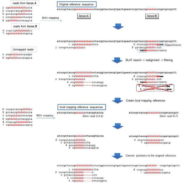 Sequence alignment 과정