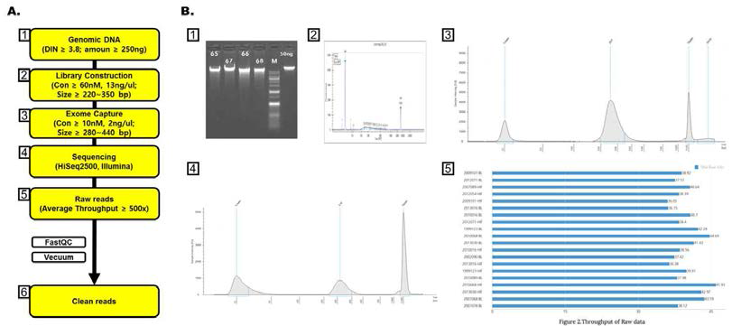 Genomic DNA에서 cleaned reads를 생산하는 Work Flow