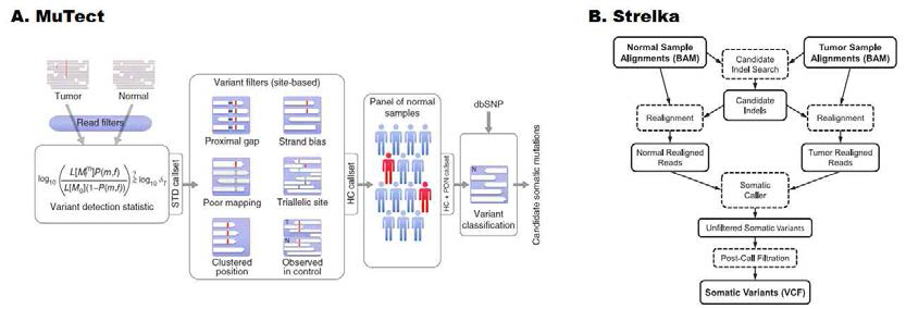 Somatic SNVs를 찾기 위한 MuTect 및 Strelka 알고리즘 work flow