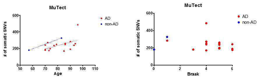 MuTect call과 Age 및 Braak staging 사이의 상관관계
