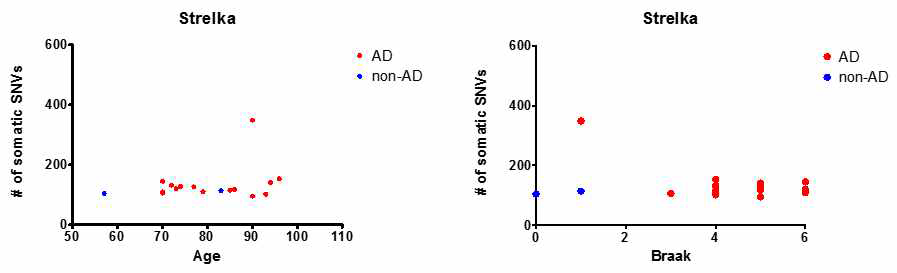 Strelka call과 Age 및 Braak staging 사이의 상관관계