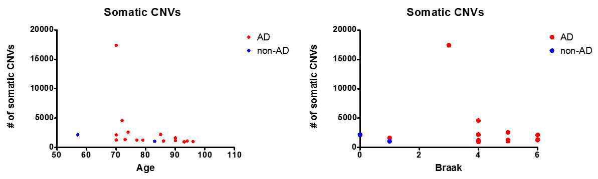 Somatic CNVs와 Age 및 Braak staging 사이의 상관관계