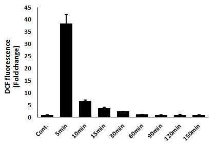 Measuring the intracellular reactive oxygen species