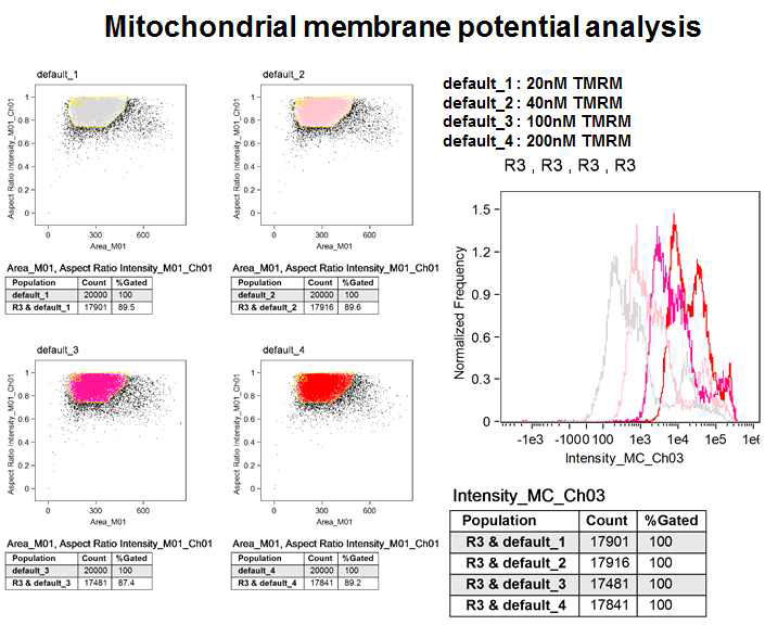 Measuring mitochondrial membrane potential-1