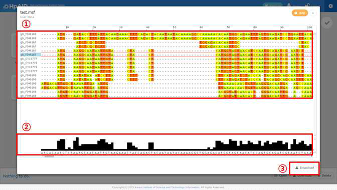 MSA (Multiple Sequence Alignment) 분석 기능