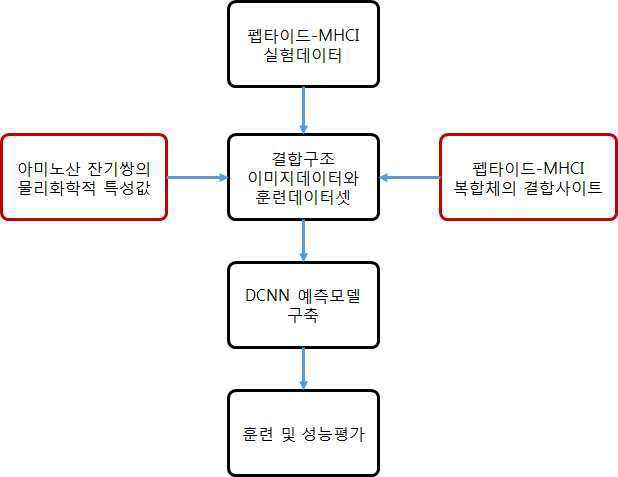 Workflow for prediction of pMHC binding affinity by using DCNN