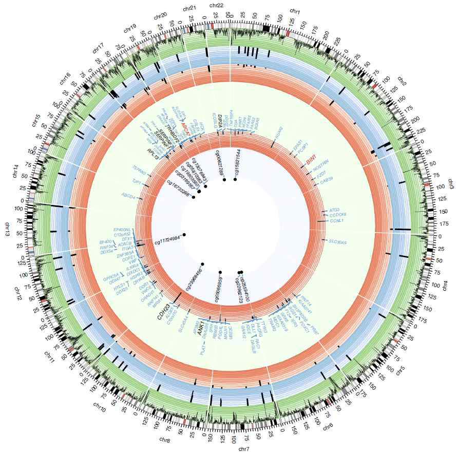 Brain에서 Genome-widely DNA methylation에 영향을 받을 수 있는 유전자 지도