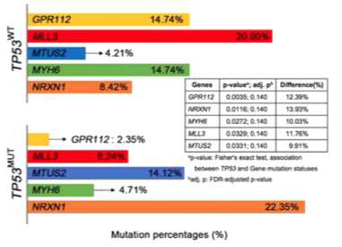 TP53 돌연변이 상태에 따른 다른 유전자 돌연변이 발생 비율을 보이는 유전자들