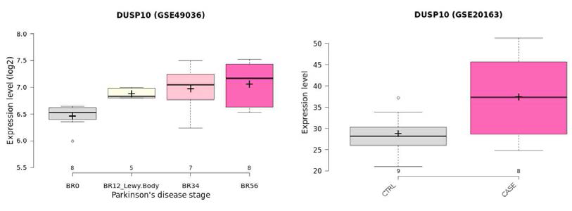 DUSP10의 Normal vs. PD Patient 발현량과 BR stage score별 발현량