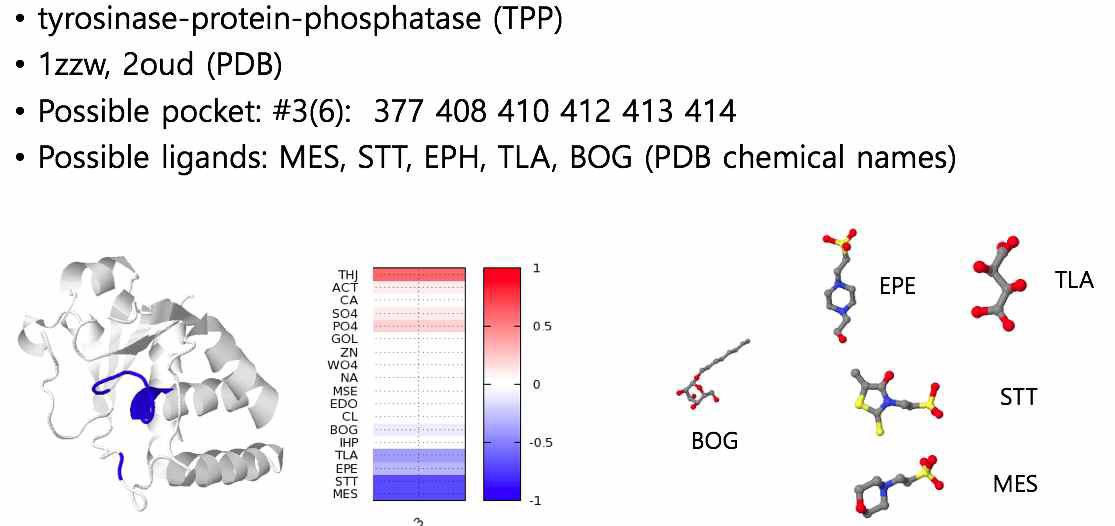 DUSP10 결합 화합물 in-silico screening 결과, TPP