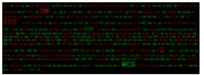 Fluctuation and Fluctuation Gap of the Stock Price Expressed in Color and Tag Size.