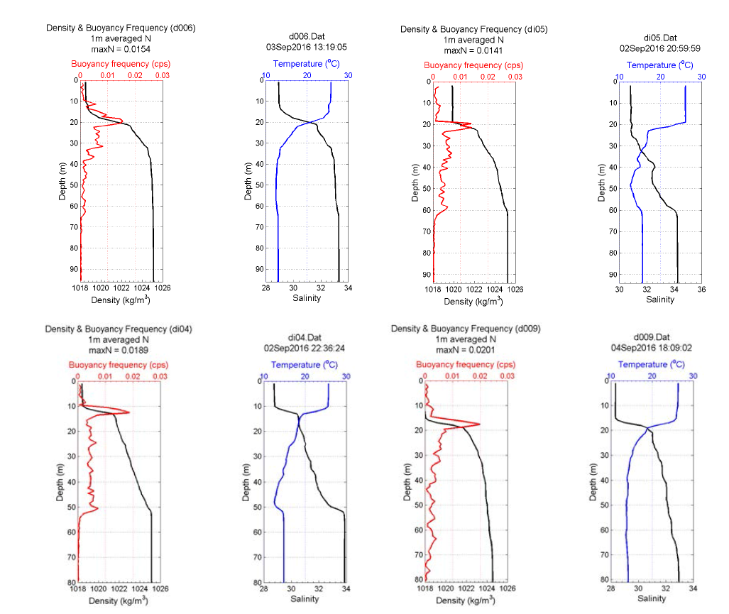 d06(좌상), di05(우상), di04(좌하), d09(우하) 정점에서 밀도, 부력 진동수(좌) 및 수온, 염분(우) 구조