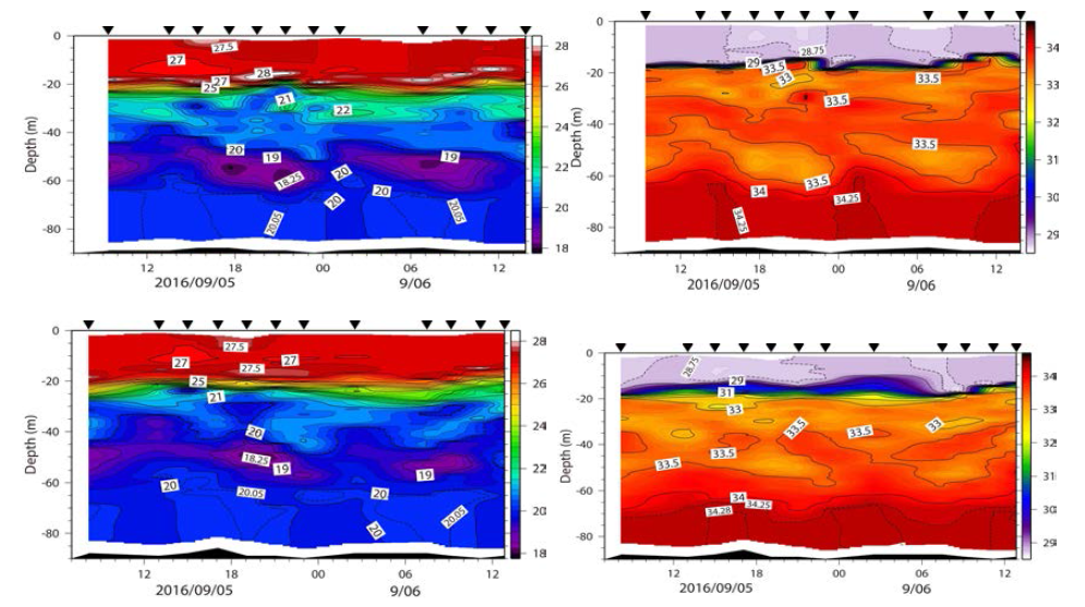 TRBM-ADCP 설치한 (상) 정점 M1과 (하) M2에서 약 30시간 동안 CTD 반복 (2시간 간격) 관측한 수온 (상), 염분 (하)의 수직구조 변화