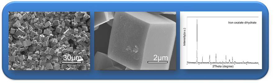 합성된 철옥살레이트 큐브에 대한 SEM 및 XRD 분석결과