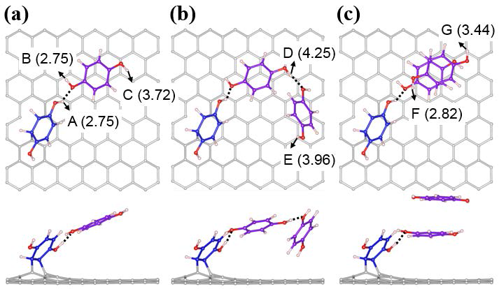 탄소표면에 흡착된 HQ분자들의 다양한 구조.