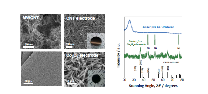 Binder-free 자립형 탄소계 및 비탄소계 전극 표면 형상 및 구조 분석