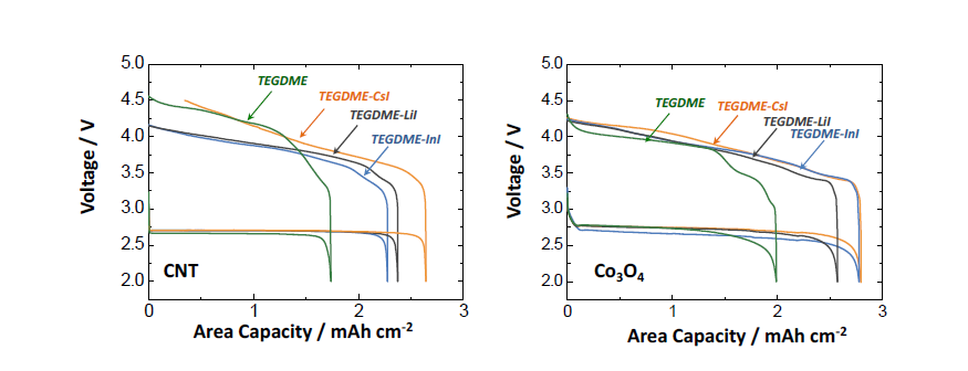 RM 적용 탄소 및 비탄소계 공기극 충방전 용량 특성 비교