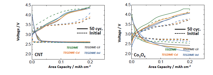 RM 적용 탄소 및 비탄소계 공기극 충방전 분극 특성 비교