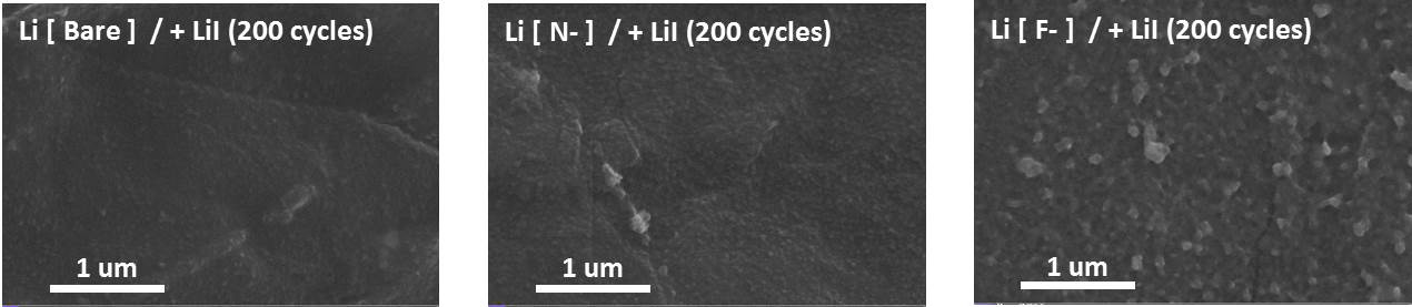 분극 평가 수행 후 SEI 안정화제 적용 리튬 표면 형상 분석 (SEM)